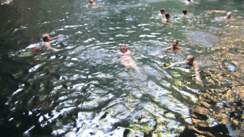 Cenotes: menos de la mitad tiene un diagnóstico