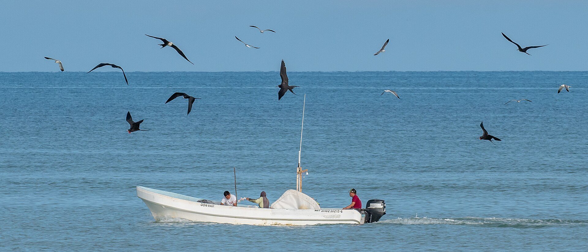 Cierran puertos de Progreso a El Cuyo por Isaías