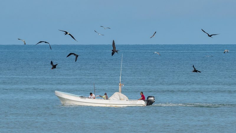 Cierran puertos de Progreso a El Cuyo por Isaías